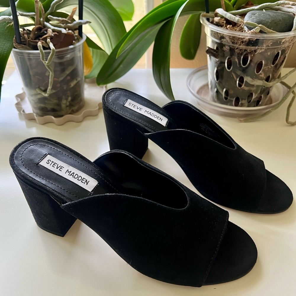 Steve Madden Black Mules with Block Heel